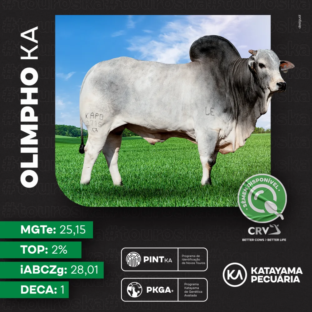Katayama Pecuária imagem 2