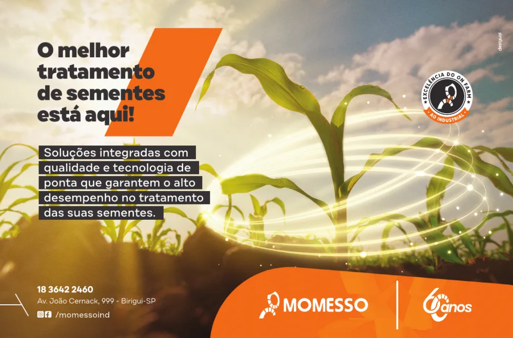 Momesso 60 anos imagem 5
