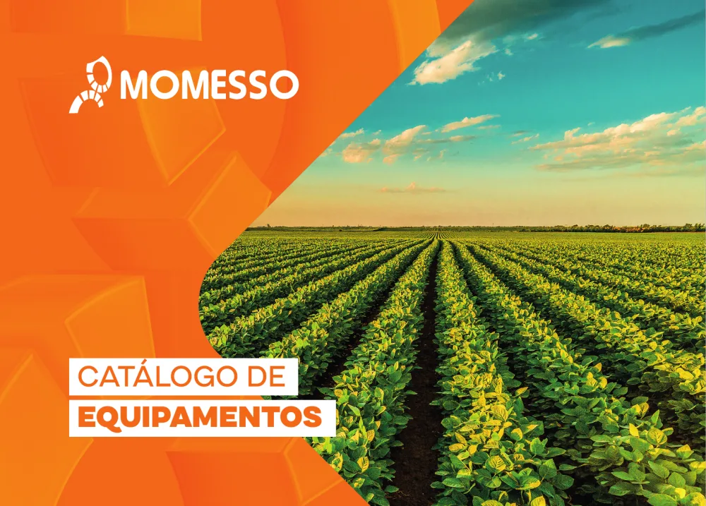 Momesso 60 anos imagem 1
