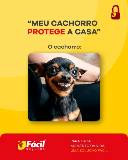 Post de fácil seguros